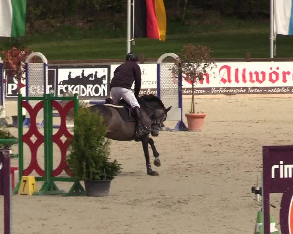 Reitturnier Westergellersen 2021