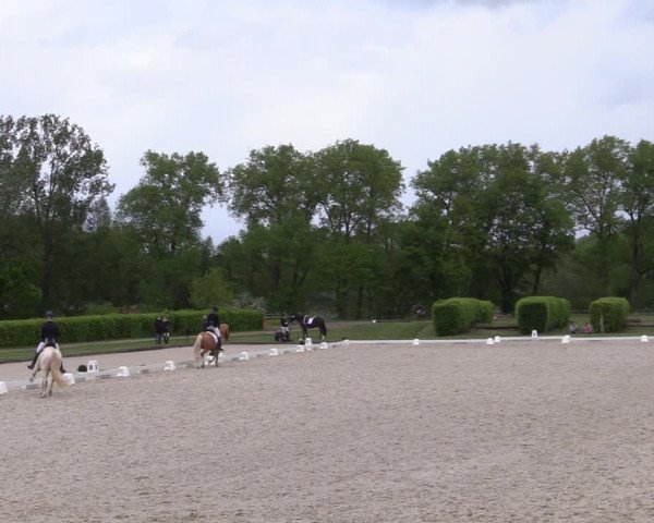 Reitturnier Münster-Handorf 2021
