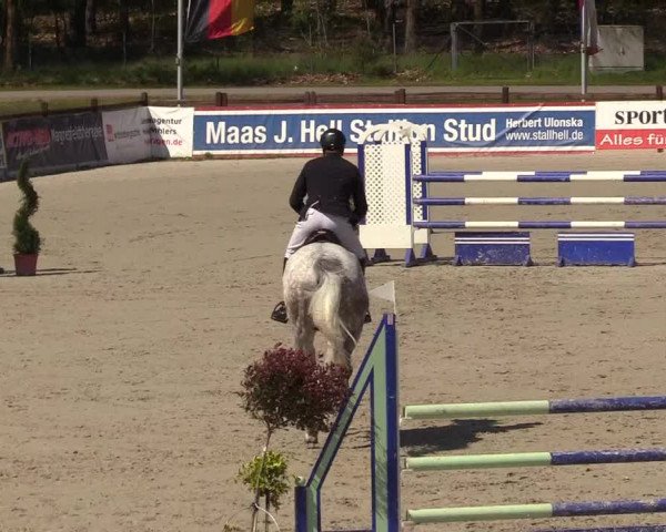 Reitturnier Westergellersen 2021