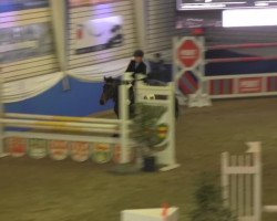 broodmare Diamond F (Oldenburg, 2002, from Lacatraz)