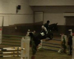 jumper Call Me Clinton (Hanoverian, 2004, from Cranach)