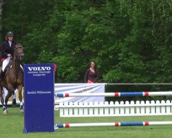 jumper Jette Mia (KWPN (Royal Dutch Sporthorse), 2001, from Sergeant Pepper I)