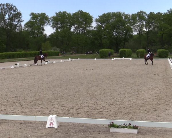 Reitturnier Münster-Handorf 2021