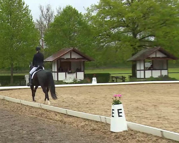 Reitturnier Aulendorf 2021