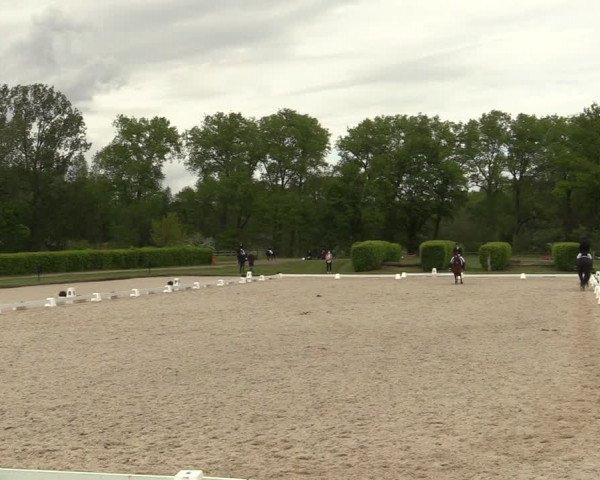 Reitturnier Münster-Handorf 2021