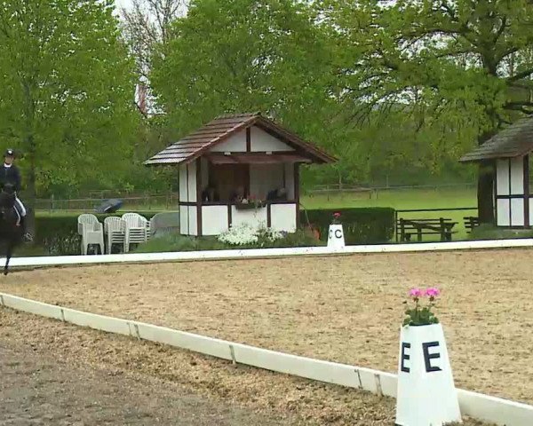 Reitturnier Aulendorf 2021