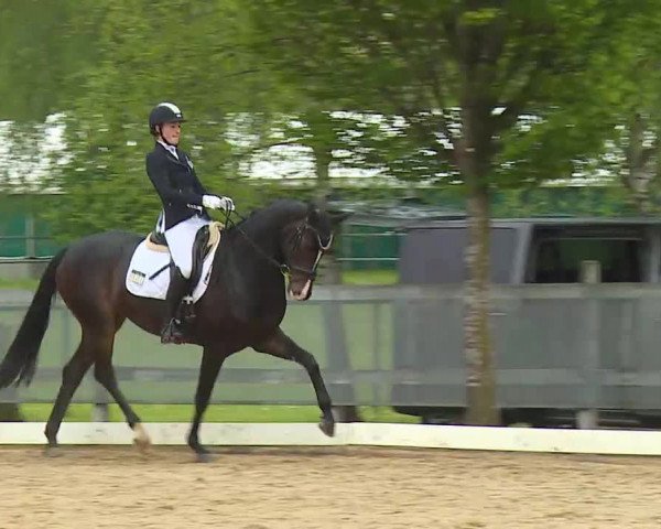 Reitturnier Aulendorf 2021