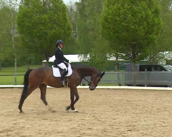 Reitturnier Aulendorf 2021