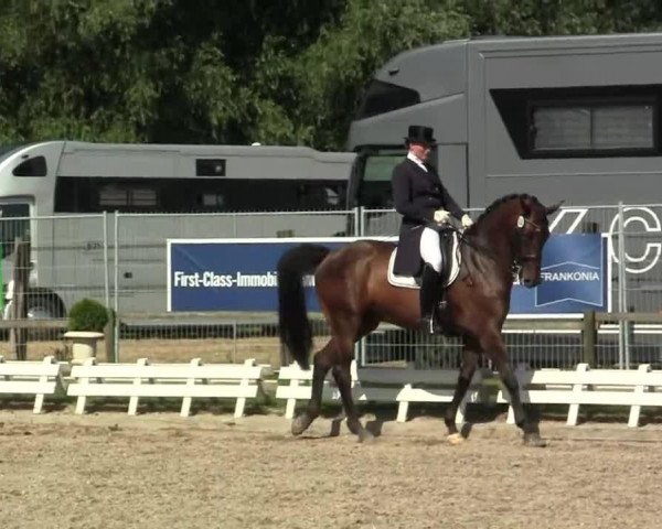 dressage horse Florestier (KWPN (Royal Dutch Sporthorse), 2001, from Freestyle)