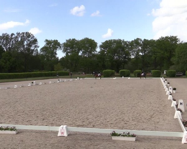 Reitturnier Münster-Handorf 2021