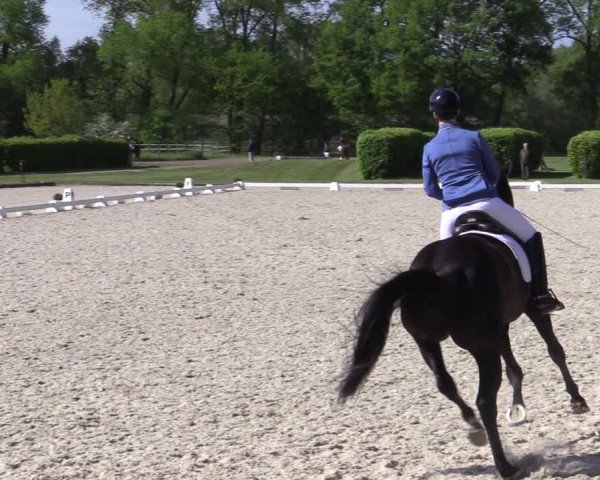 Reitturnier Münster-Handorf 2021