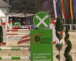 jumper For mareno (Hanoverian, 2006, from For Edition)