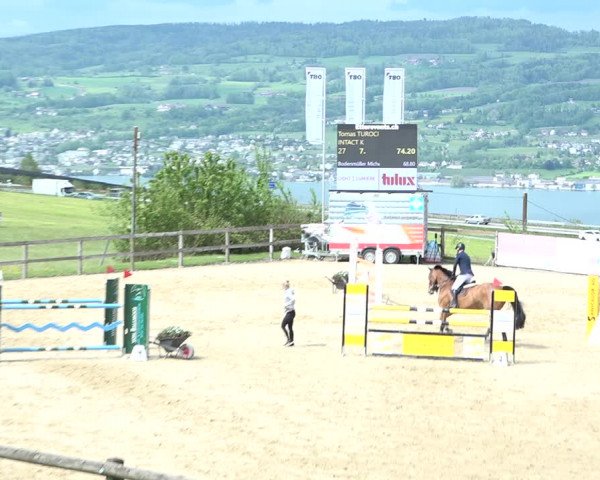 Reitturnier Wädenswil 2021