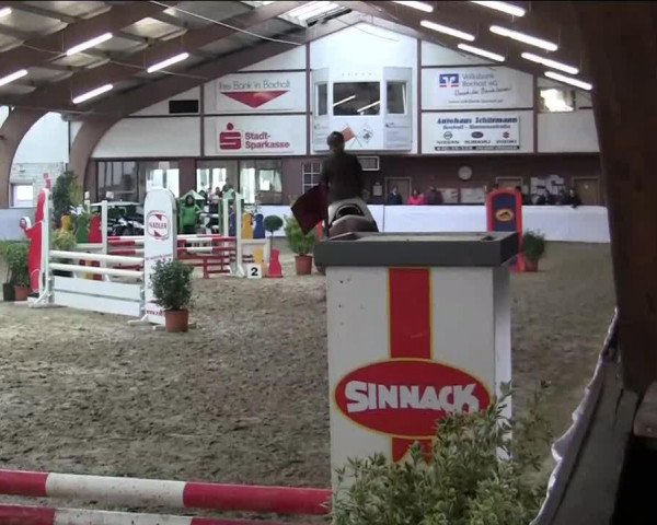 jumper Takito 2 (Westphalian, 2003, from Tänzer)