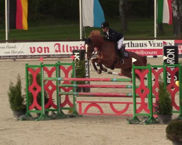 Reitturnier Westergellersen 2021