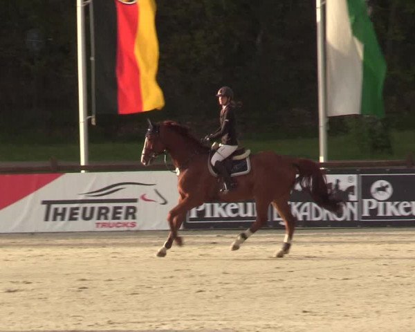Reitturnier Westergellersen 2021