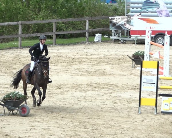 Reitturnier Wädenswil 2021