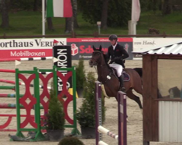 Reitturnier Westergellersen 2021