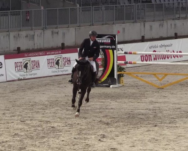 Reitturnier Westergellersen 2021