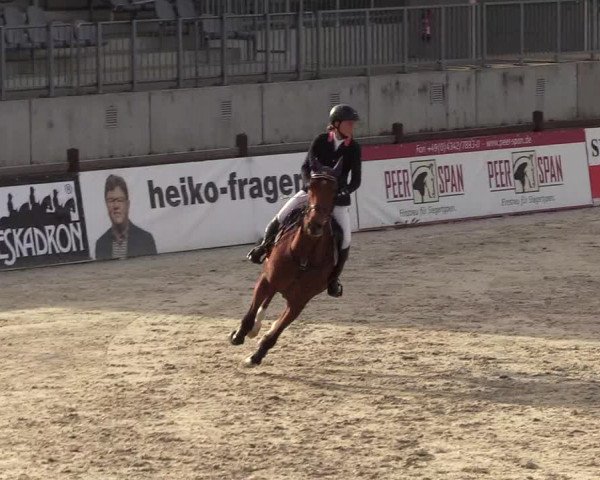 Reitturnier Westergellersen 2021