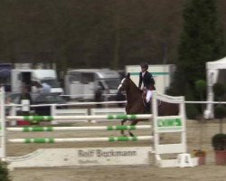 Springpferd Blanca 56 (KWPN (Niederländisches Warmblut), 2006, von Heartbreaker)