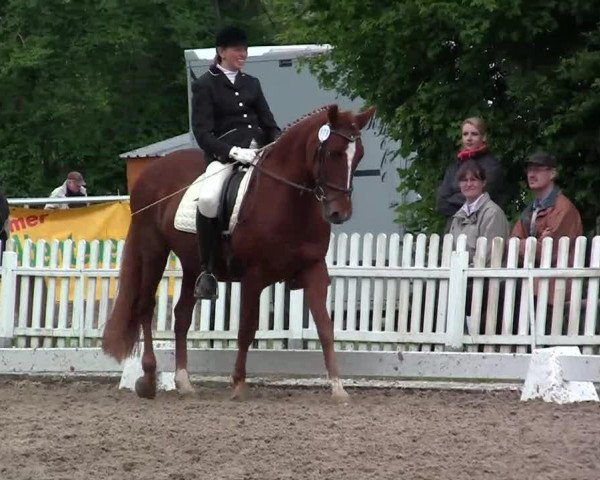 horse Daiana (German Riding Pony, 1990, from Derbino)