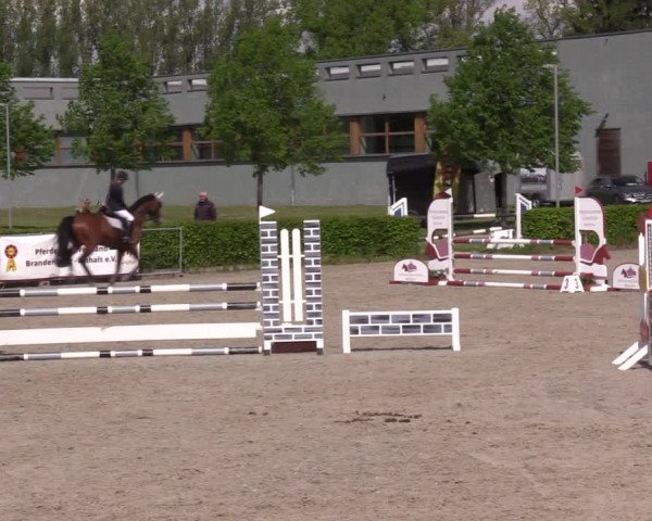 Reitturnier Neustadt/Dosse 2021