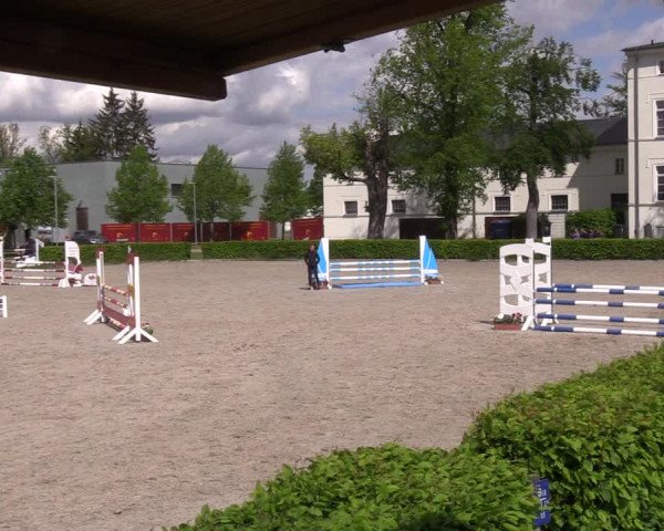 Reitturnier Neustadt/Dosse 2021