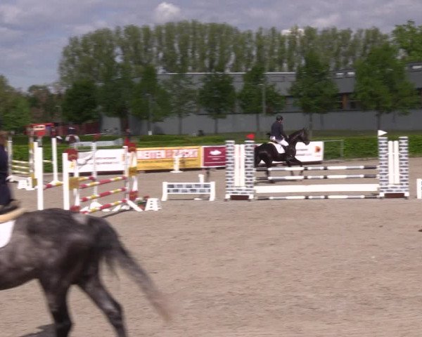 Reitturnier Neustadt/Dosse 2021