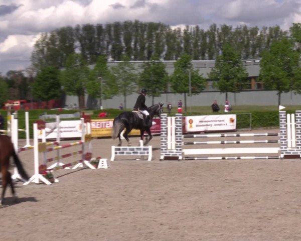 Reitturnier Neustadt/Dosse 2021