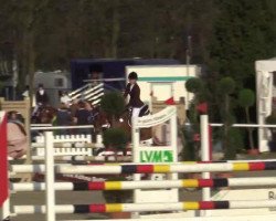 broodmare Caja 21 (Holsteiner, 2006, from Cassiano)