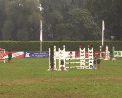 dressage horse Vinci S.W. (German Riding Pony, 2004, from Via Mala)