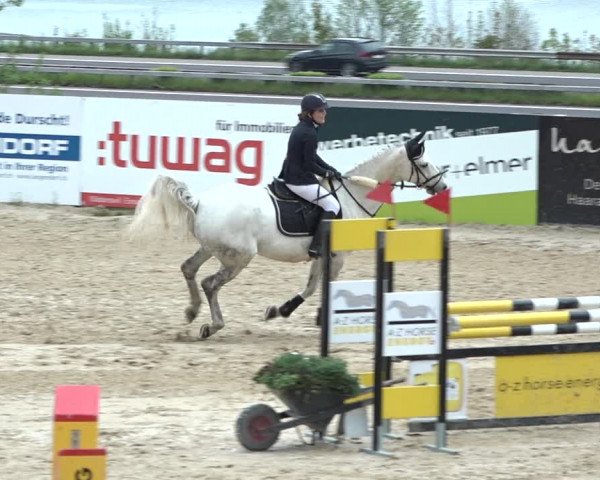 Reitturnier Wädenswil 2021
