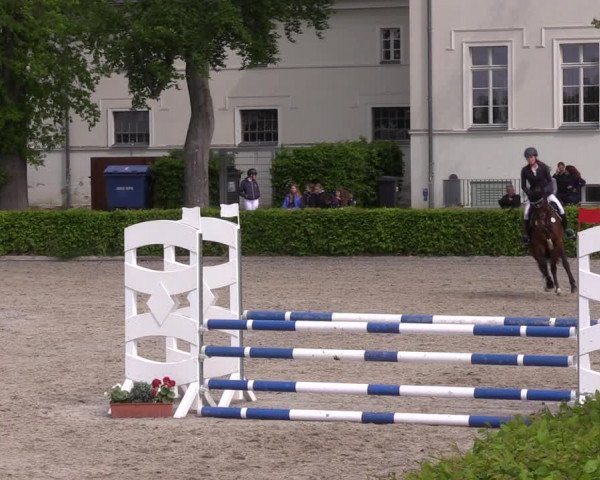 Reitturnier Neustadt/Dosse 2021