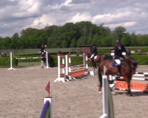 Reitturnier Neustadt/Dosse 2021