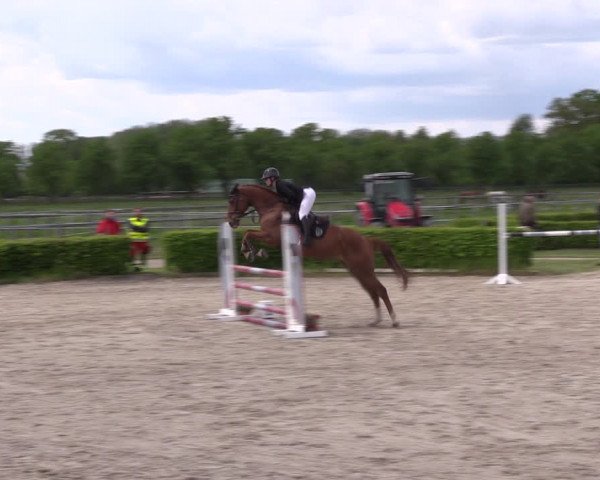 Reitturnier Neustadt/Dosse 2021