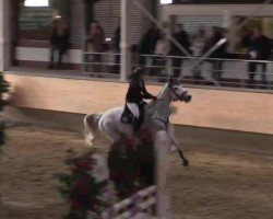 broodmare Claire 76 (Holsteiner, 2004, from Calido I)