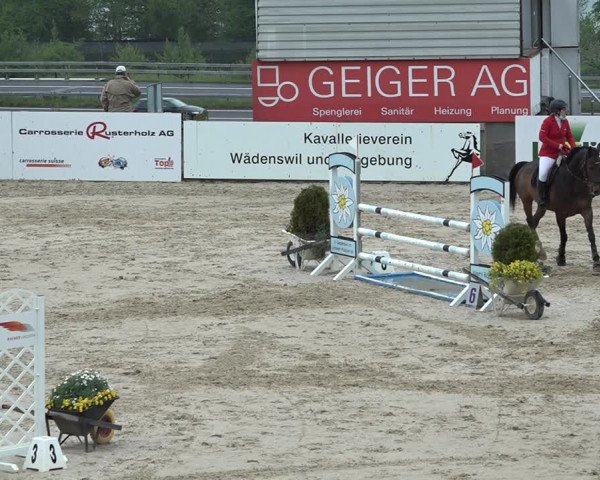 Reitturnier Wädenswil 2021