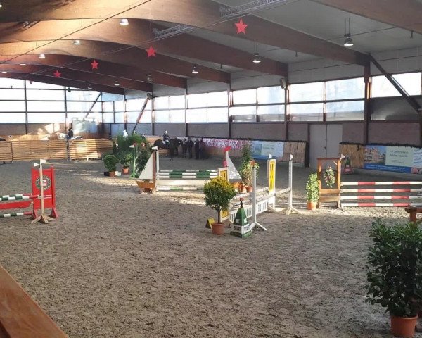 broodmare Alina (Haflinger, 2001, from Ammersee)