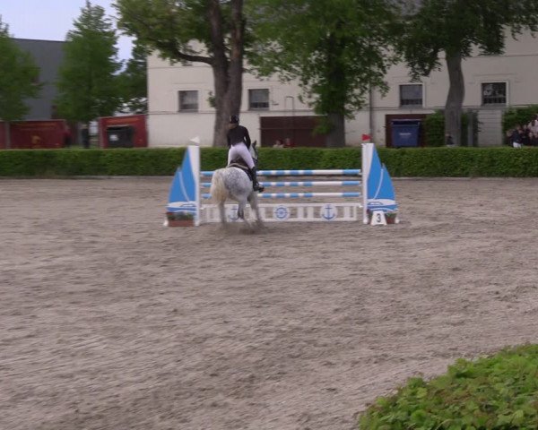 Reitturnier Neustadt/Dosse 2021