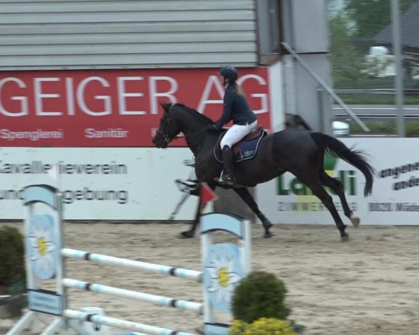 Reitturnier Wädenswil 2021