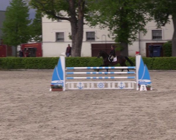 Reitturnier Neustadt/Dosse 2021