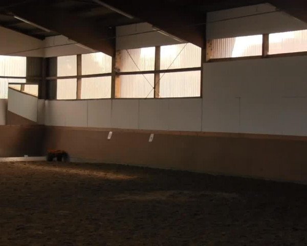 dressage horse Diego 107 (German Riding Pony, 1992, from Durello)