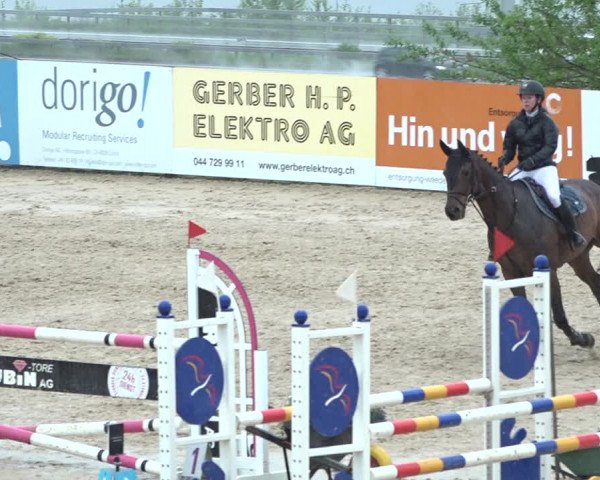 Reitturnier Wädenswil 2021