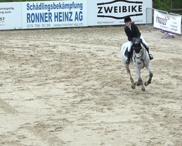Reitturnier Wädenswil 2021