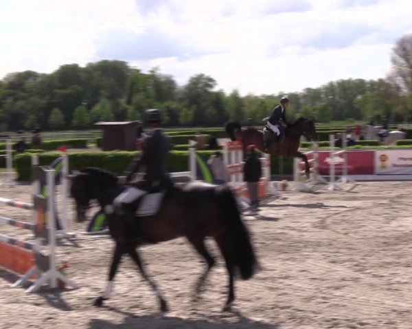Reitturnier Neustadt/Dosse 2021
