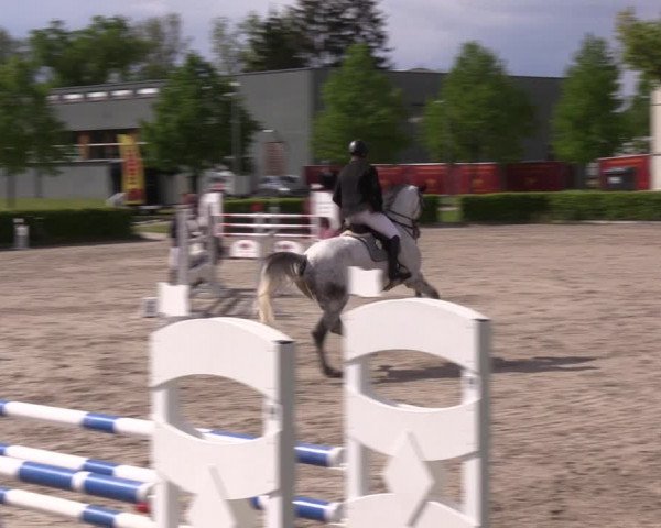Reitturnier Neustadt/Dosse 2021
