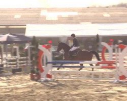 jumper Lapino (Oldenburg, 2010, from Lord Pezi)