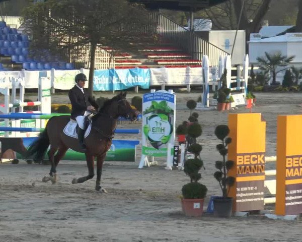jumper Phelps (Westphalian, 2008, from Pheres)