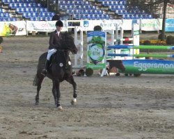 jumper Corvaro (Westphalian, 2008, from Collin L)